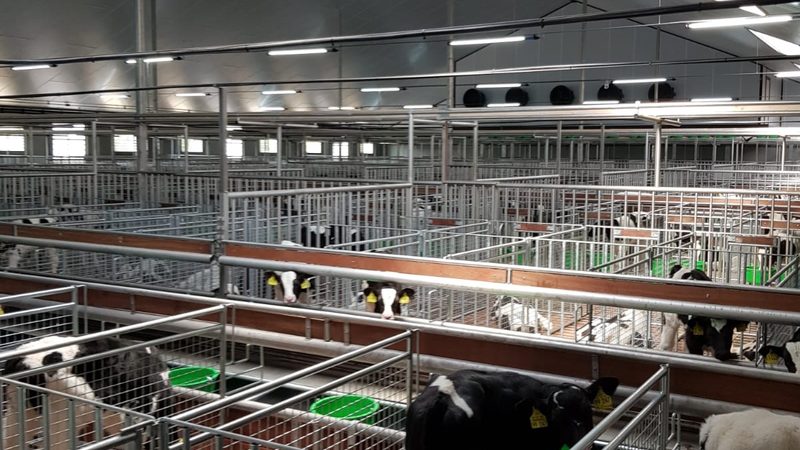 揭秘电商代运营抖音小店服务流程：从启动到优化全解析